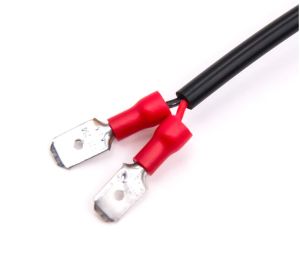 2 x H1 12V-24V 360° 6000K Headlights Bulbs Lamp Car Truck Lorry Lights Vehicle 