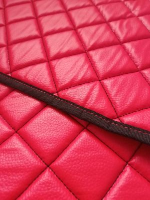 DAF XF 105 Armaturenbrett Abdeckung Rot Matten Eco Leder Autoteppiche LKW