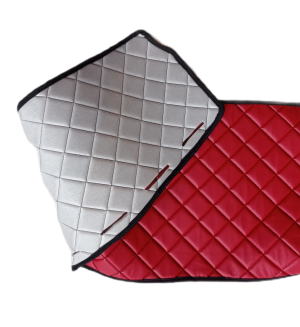 MAN TGX Instrumentbräda Röd Eco Läder mattor för lastbilar 