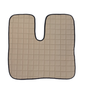 MAN TGX Automat Covorase Bej Piele Camion 2010-2017