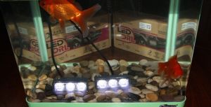 2 x 3 LED  Tagfahrleuchte PKW Nebel DRL Laufen Fahren Weiß  12V